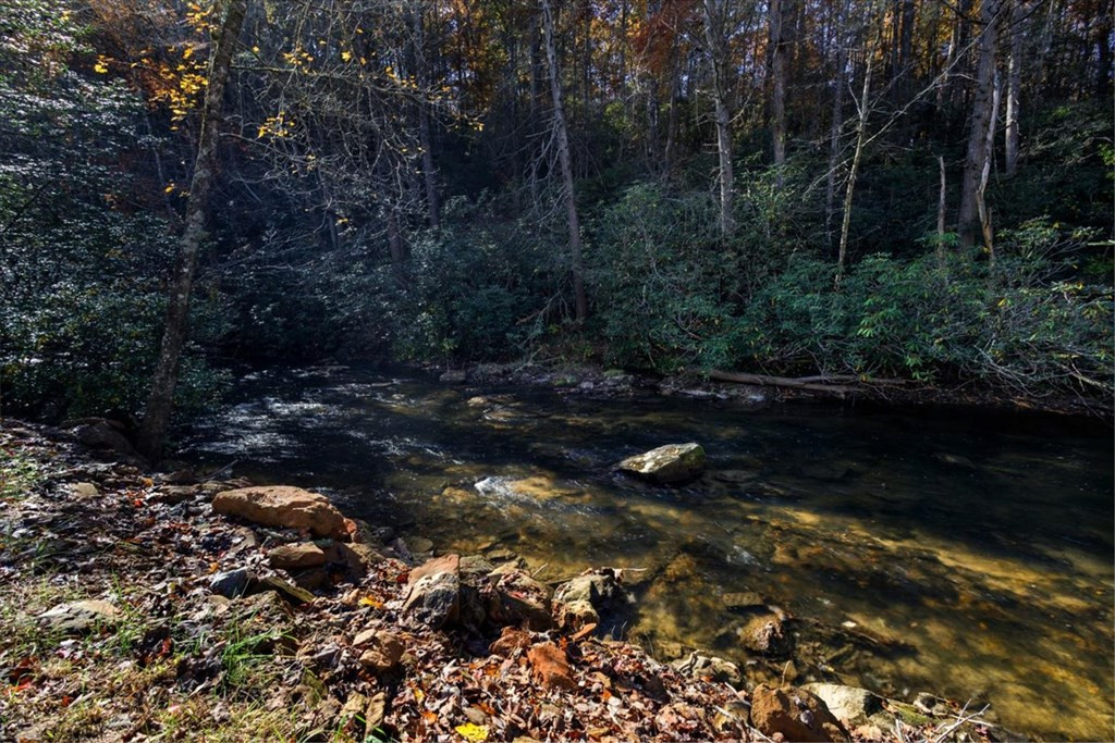 163 Cherokee Path Property Photo 11