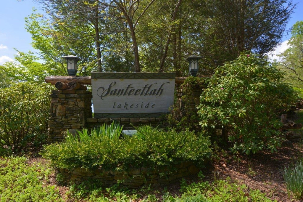 10 Santeetlah Lakeside Property Photo 2