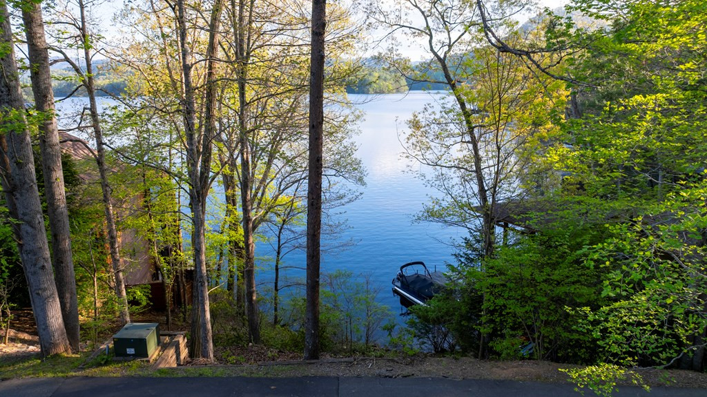 10 Santeetlah Lakeside Property Photo 3