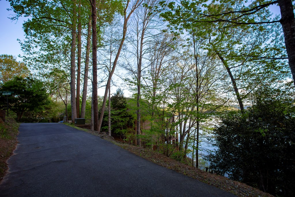 10 Santeetlah Lakeside Property Photo 4