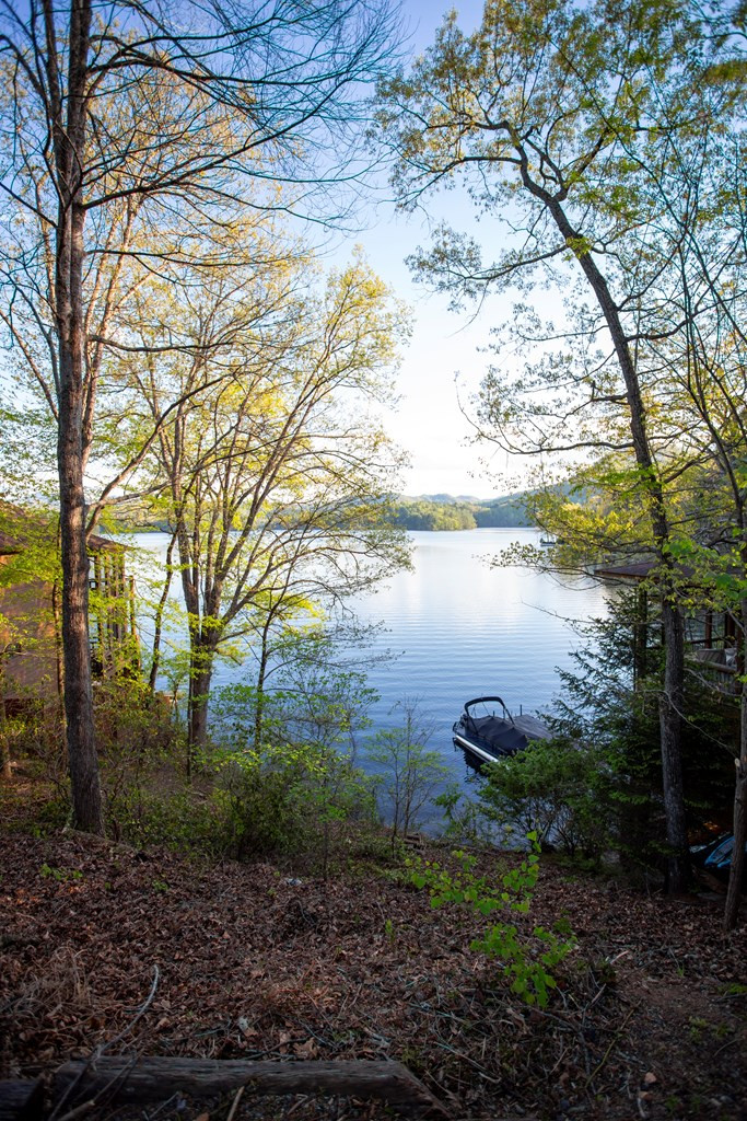 10 Santeetlah Lakeside Property Photo 5