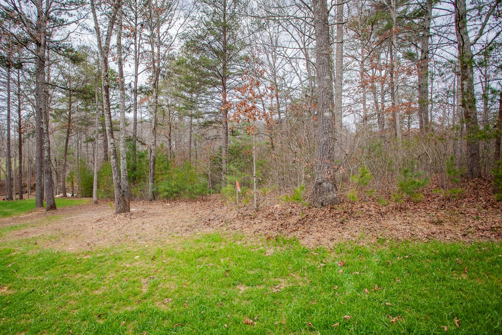 00 Yonah Way Property Photo 4