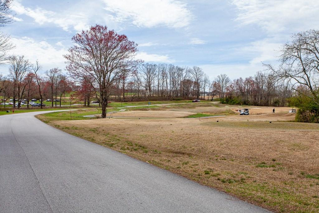 00 Yonah Way Property Photo 7