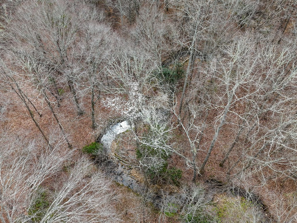 00 Yonah Way Property Photo 12