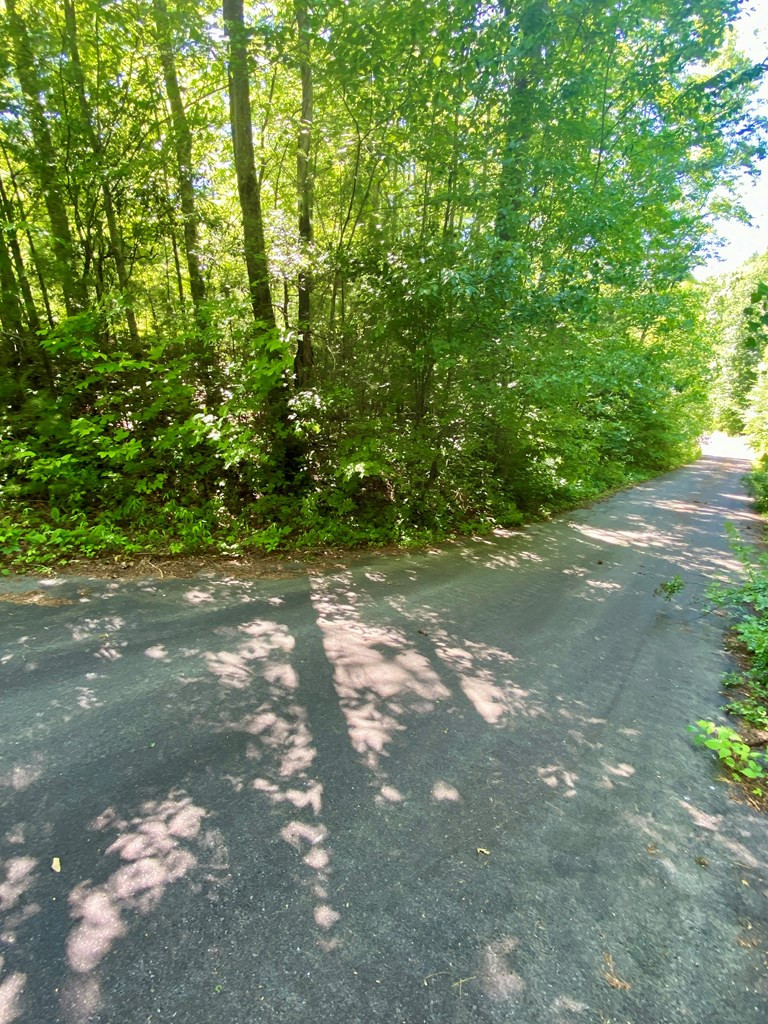 00 Deer Run Property Photo 2