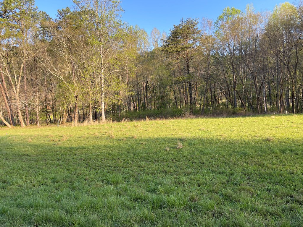 0 River Farm Drive Property Photo 3