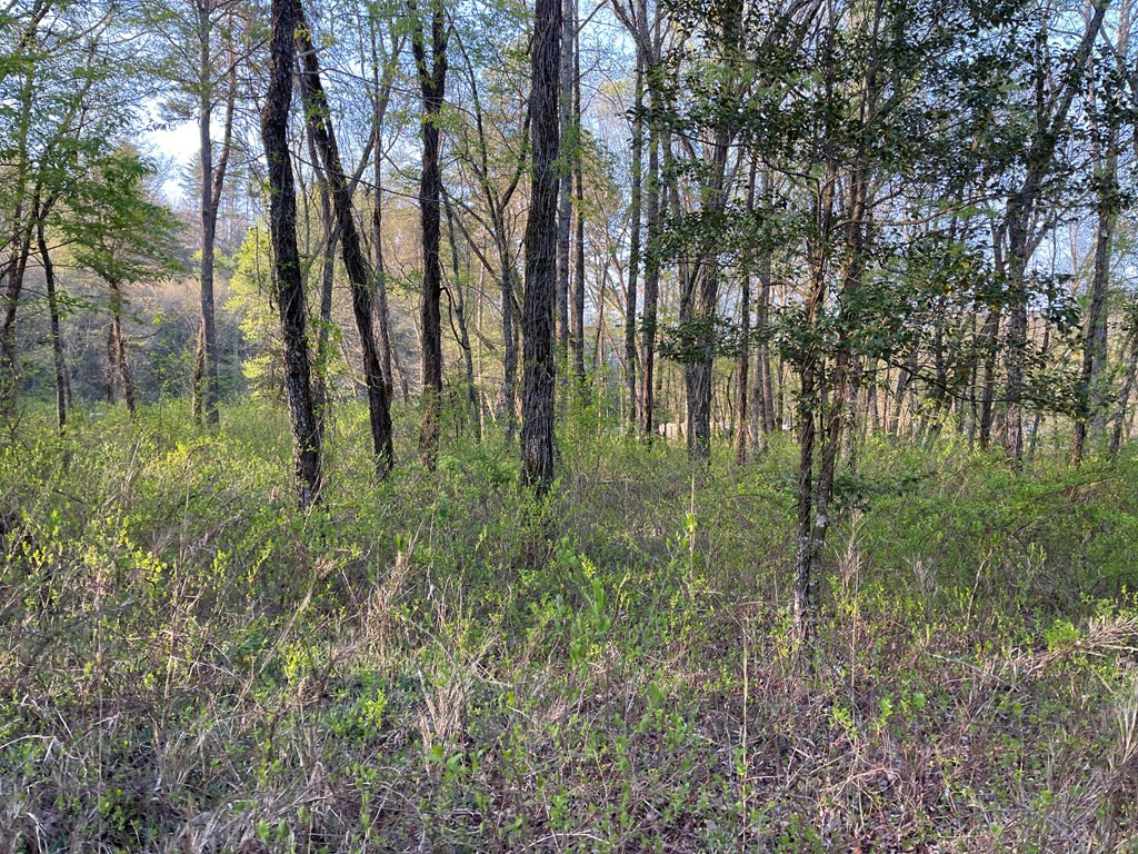 0 River Farm Drive Property Photo 8