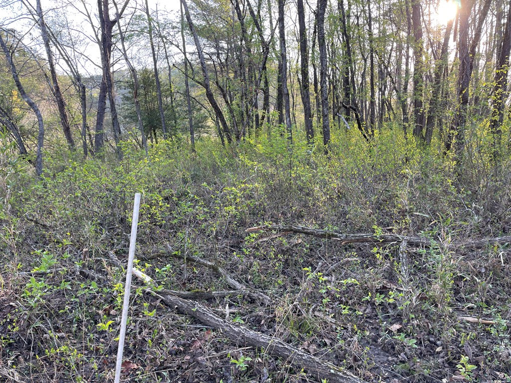 0 River Farm Drive Property Photo 9