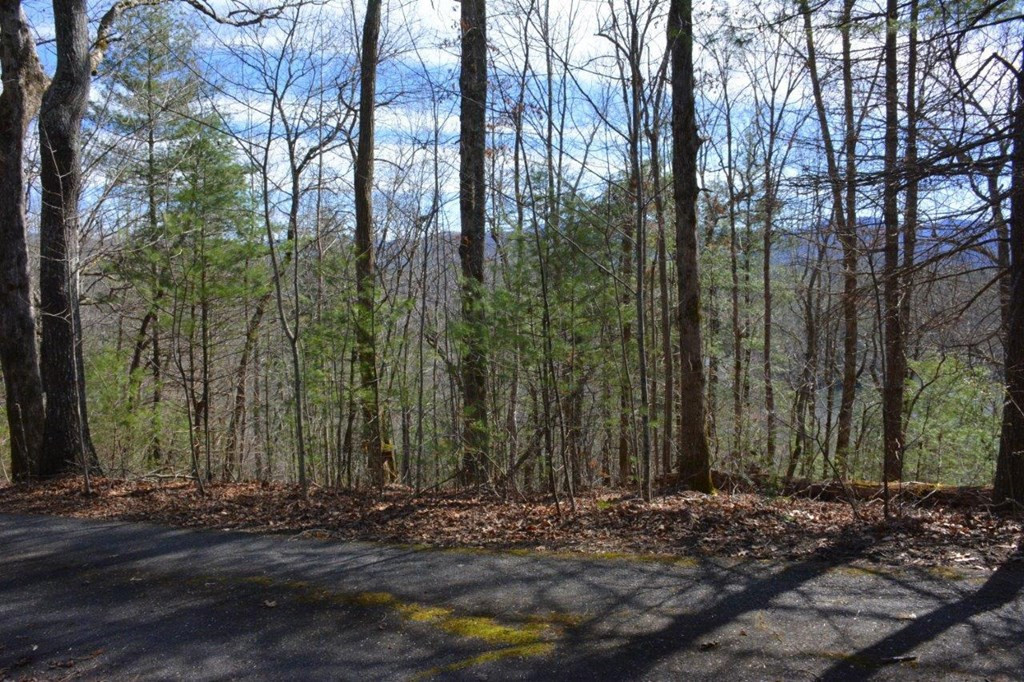 00 Chestnut Ridge Property Photo 2