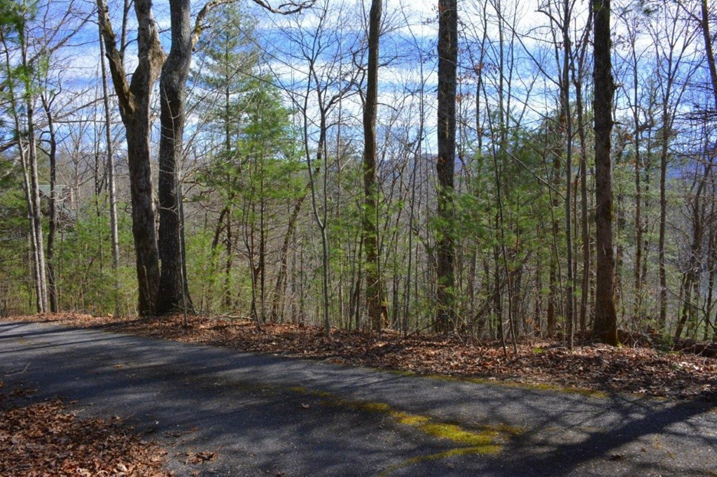 00 Chestnut Ridge Property Photo 3