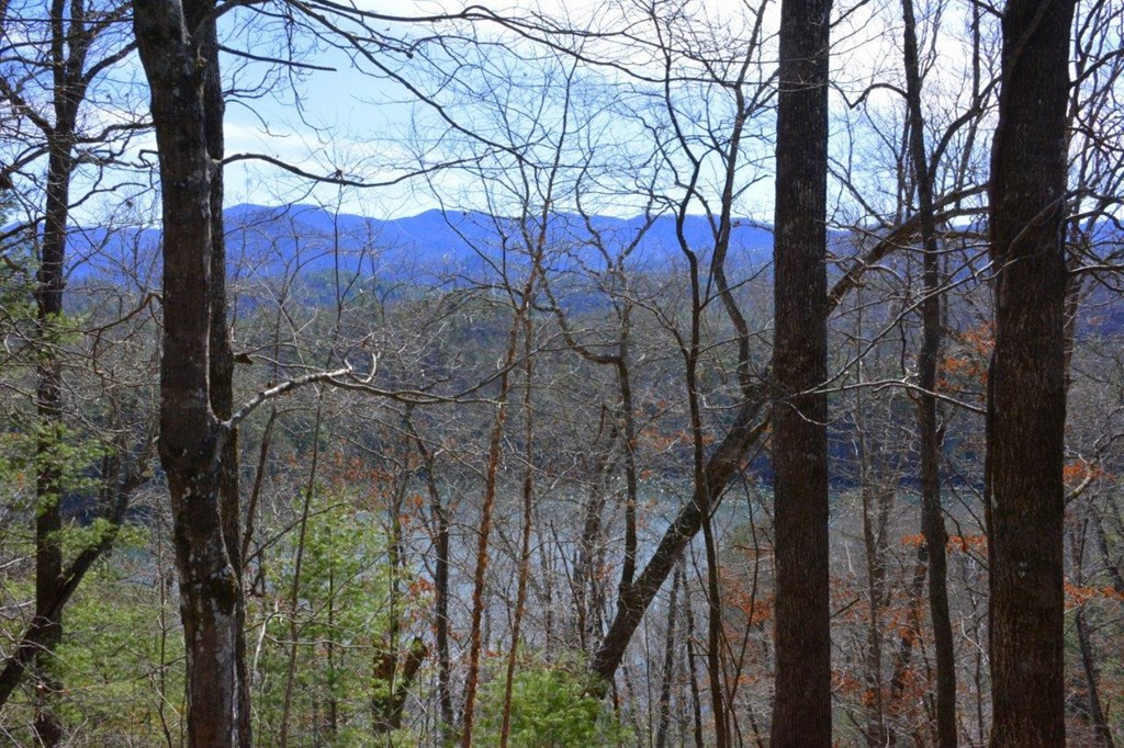 00 Chestnut Ridge Property Photo 4