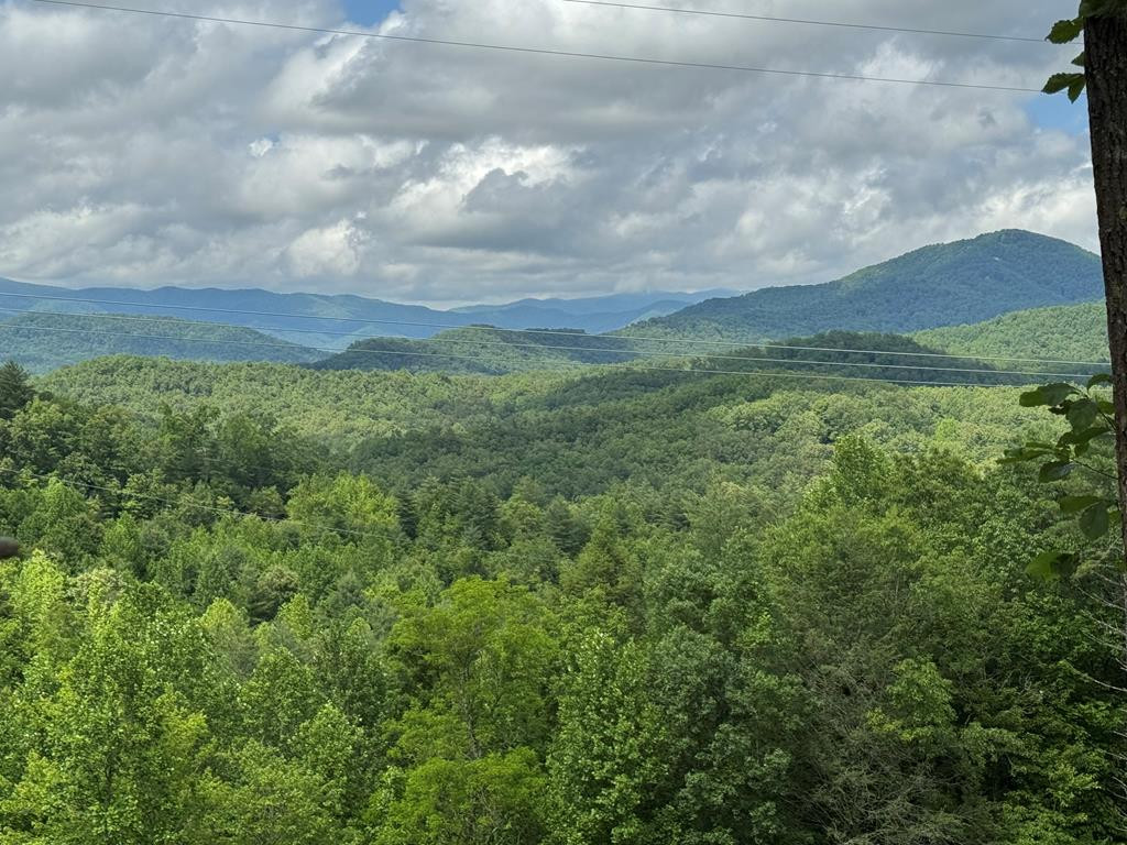 Lot 62 62 Thundering Hill Property Photo 1