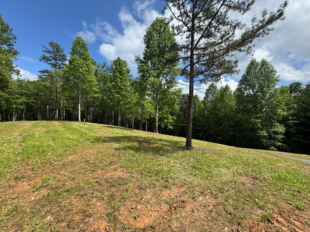 Lot 62 62 Thundering Hill Property Photo 3