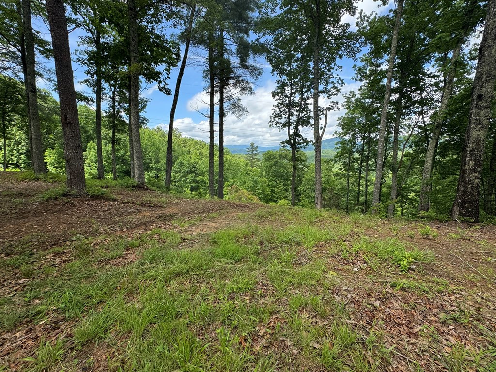 Lot 62 62 Thundering Hill Property Photo 4