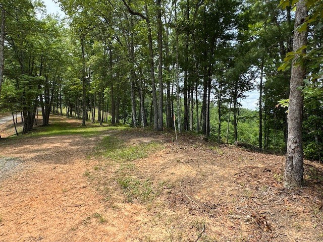 Lot 62 62 Thundering Hill Property Photo 5