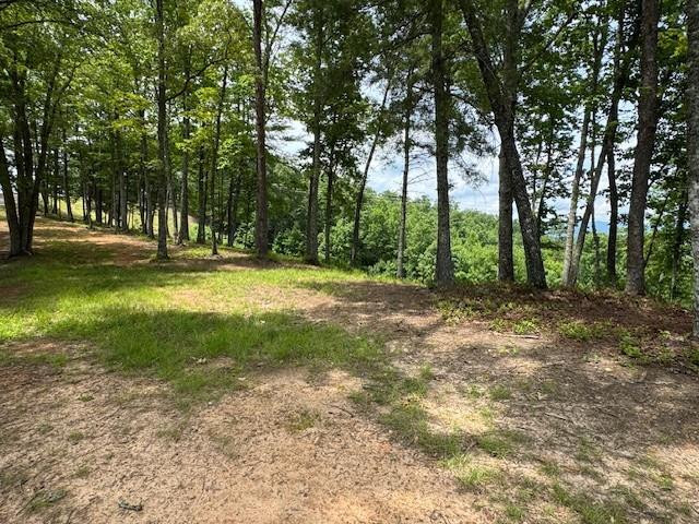 Lot 62 62 Thundering Hill Property Photo 6