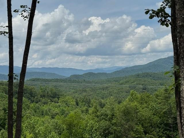 Lot 62 62 Thundering Hill Property Photo 7
