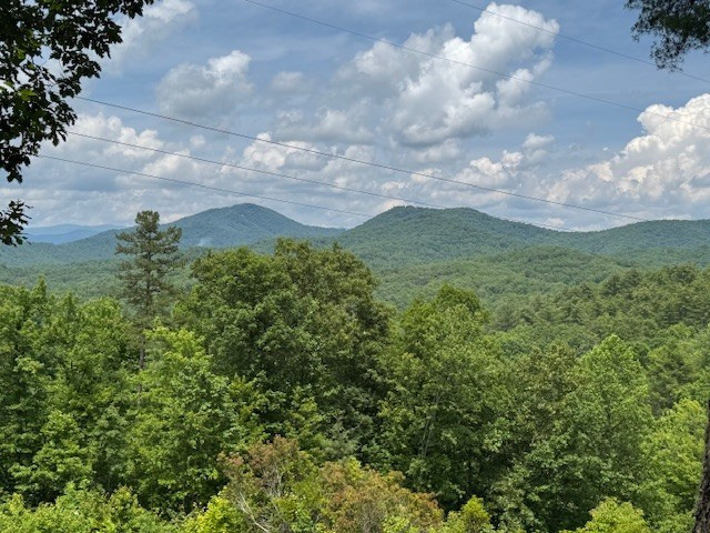 Lot 62 62 Thundering Hill Property Photo 8