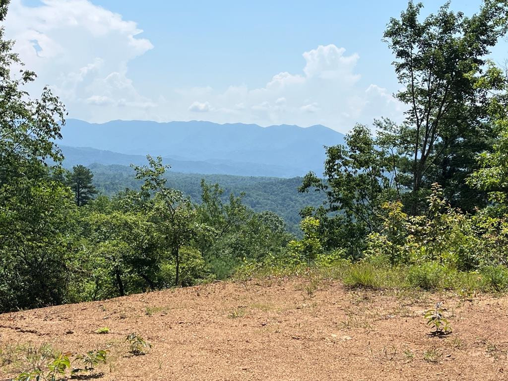 501 26 Cliff Top Trail Property Photo 1