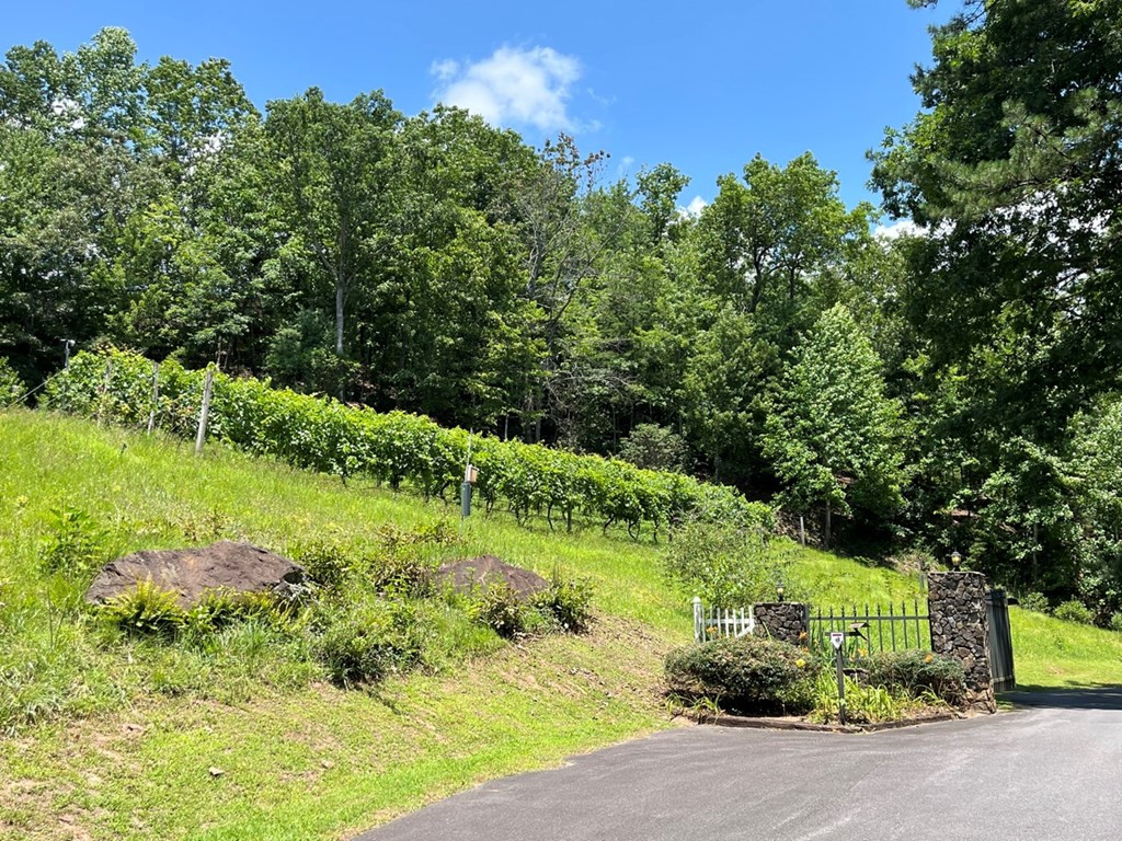 501 26 Cliff Top Trail Property Photo 5