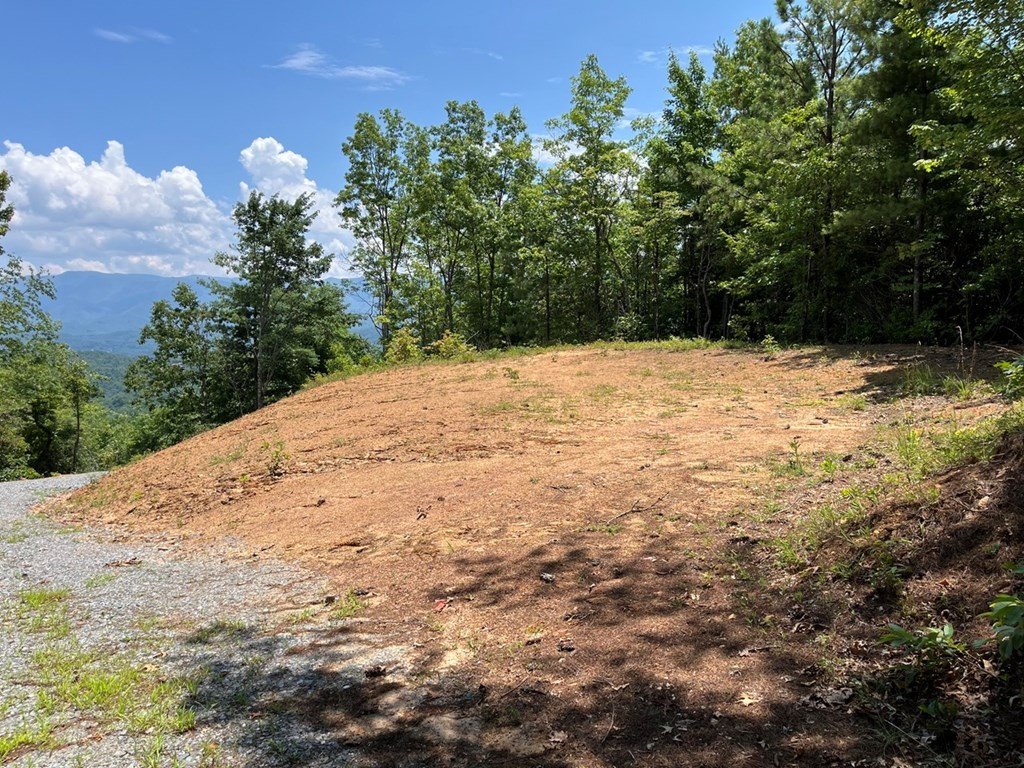 501 26 Cliff Top Trail Property Photo 11