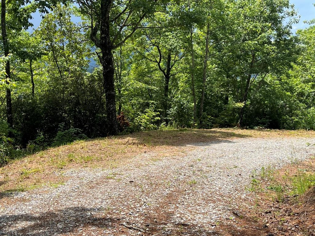 501 26 Cliff Top Trail Property Photo 12