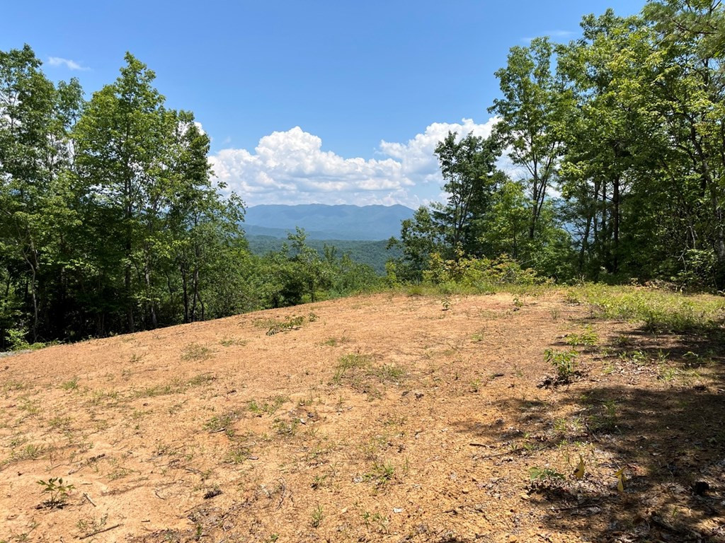 501 26 Cliff Top Trail Property Photo 13