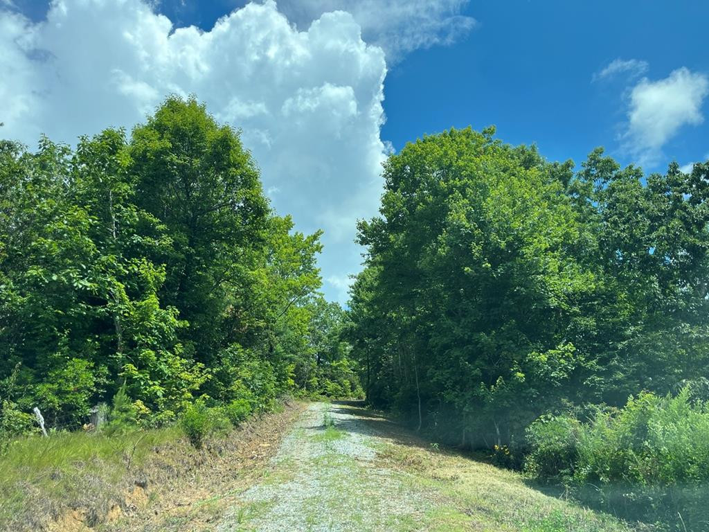 501 26 Cliff Top Trail Property Photo 17