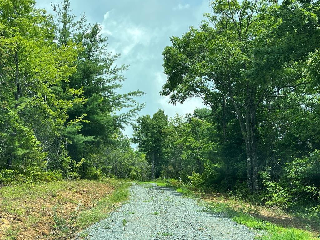 501 26 Cliff Top Trail Property Photo 19