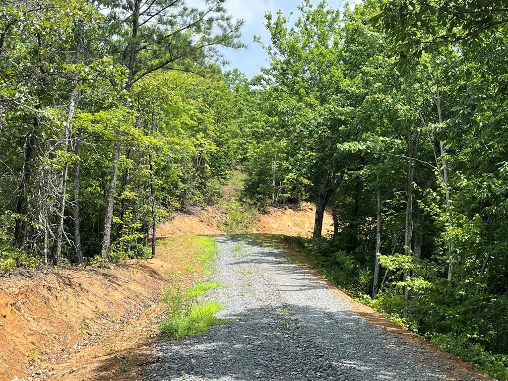 501 26 Cliff Top Trail Property Photo 22