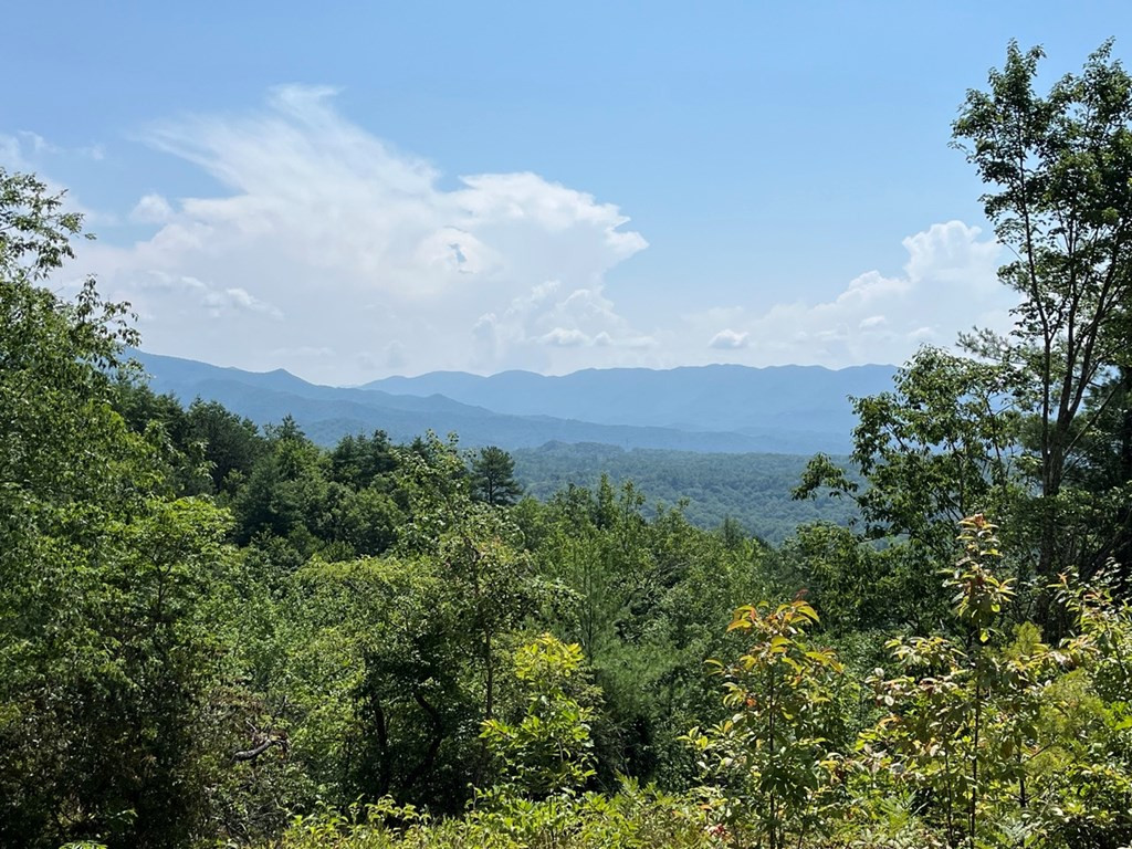 501 26 Cliff Top Trail Property Photo 23