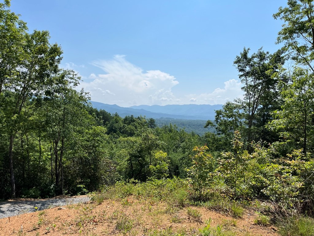 501 26 Cliff Top Trail Property Photo 25