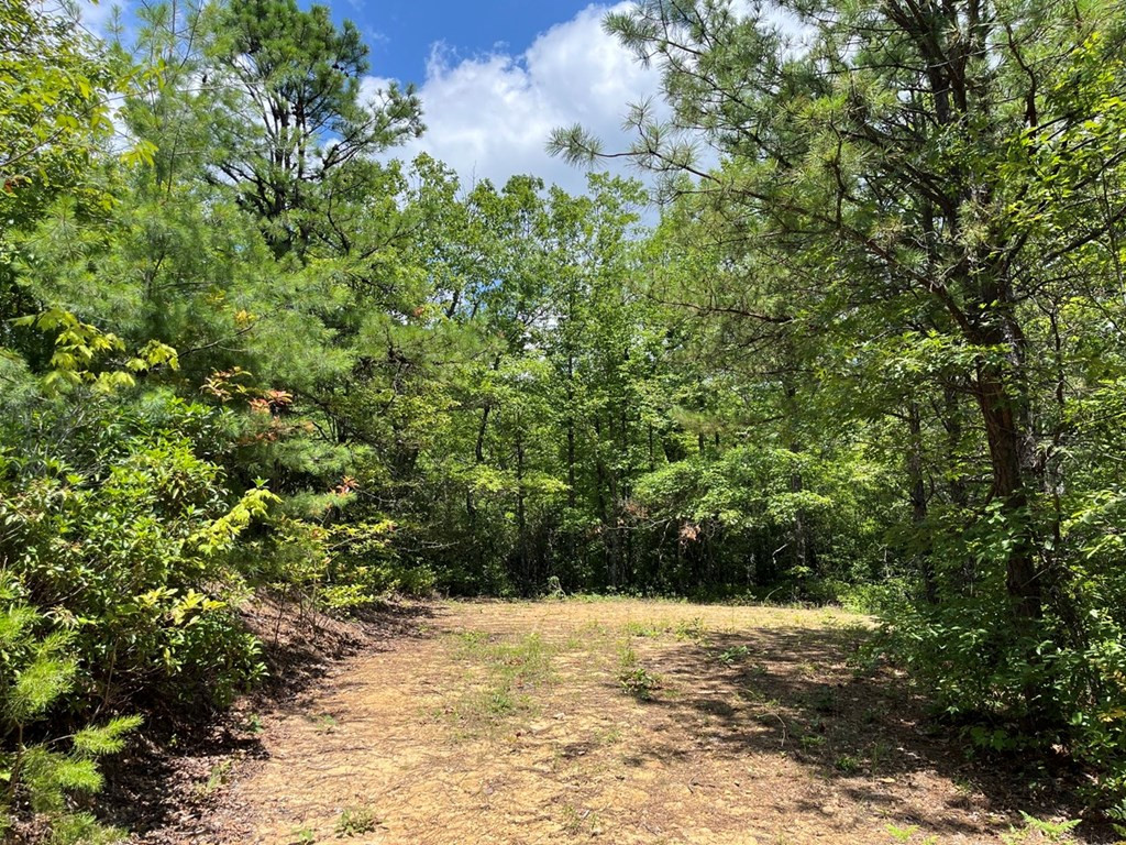 501 26 Cliff Top Trail Property Photo 26