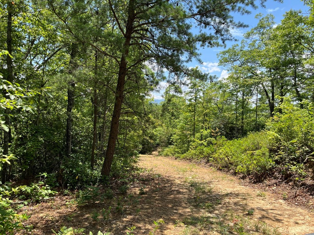 501 26 Cliff Top Trail Property Photo 27