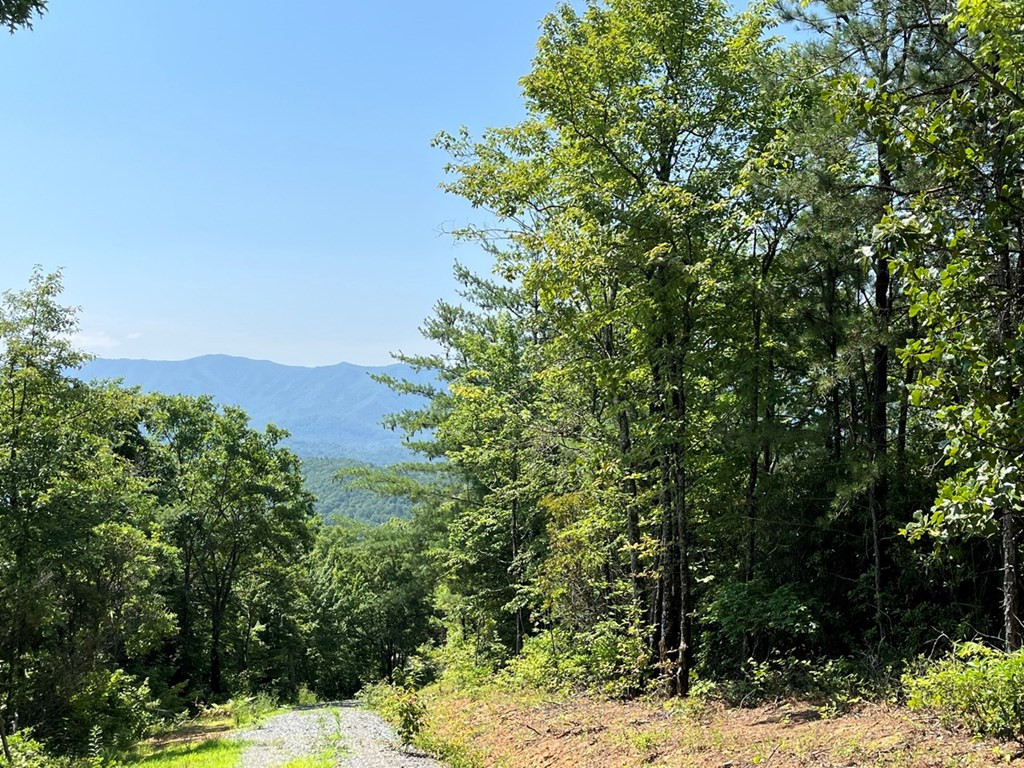 501 26 Cliff Top Trail Property Photo 28