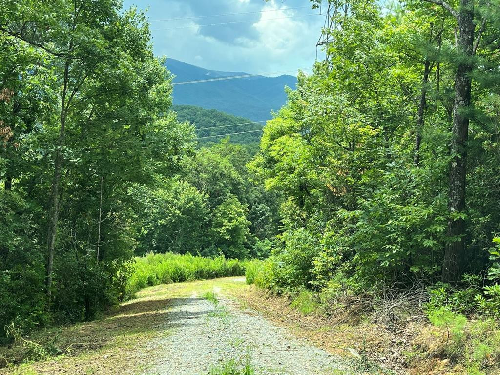501 26 Cliff Top Trail Property Photo 31