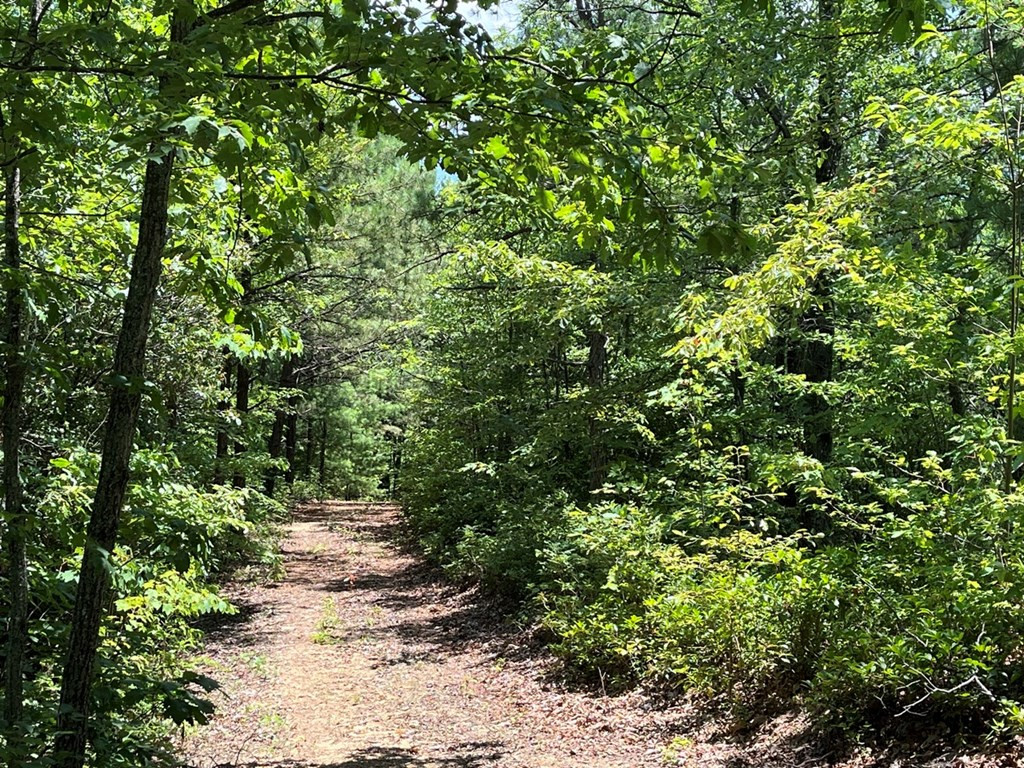 501 26 Cliff Top Trail Property Photo 33