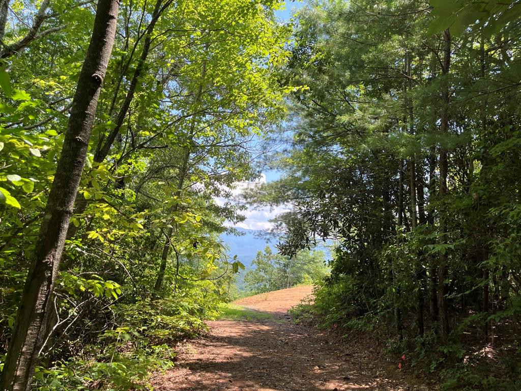 501 26 Cliff Top Trail Property Photo 34