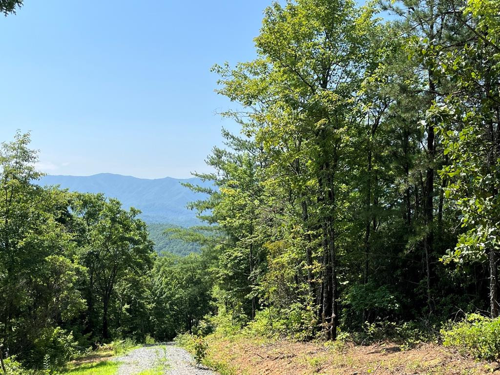501 26 Cliff Top Trail Property Photo 37