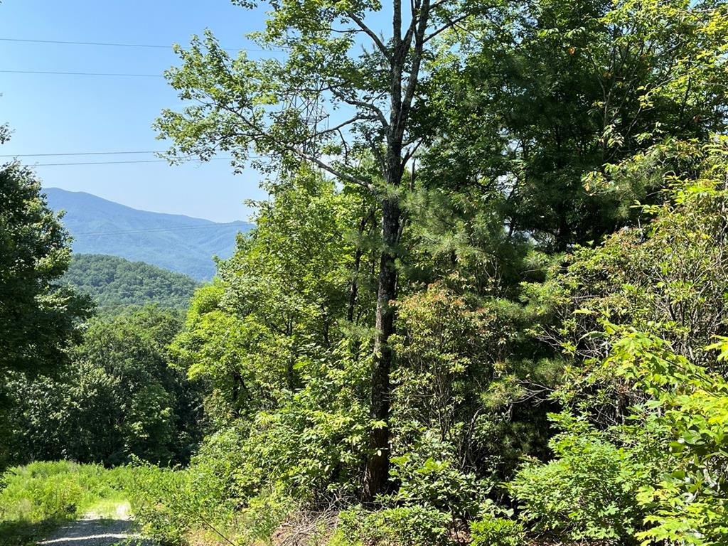 501 26 Cliff Top Trail Property Photo 38