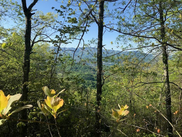 501 26 Cliff Top Trail Property Photo 39