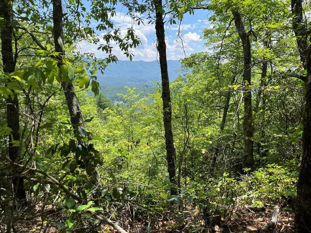 501 26 Cliff Top Trail Property Photo 40