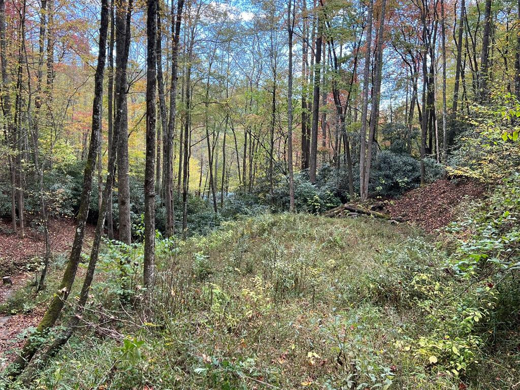 Lot 17 Black Bear Trail Property Photo 1