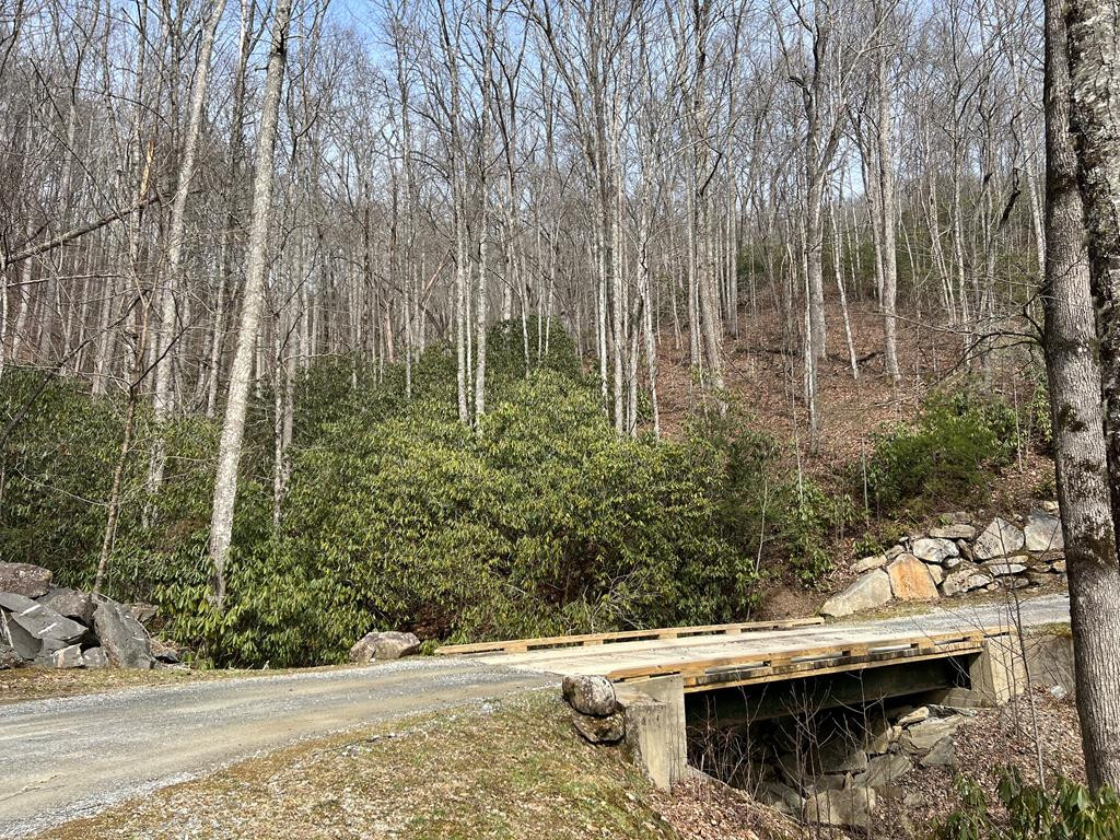 Lot 17 Black Bear Trail Property Photo 6