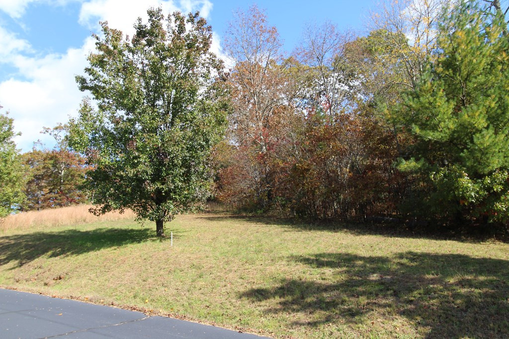 Lot 17 Old Taylors Ferry Ridge Property Photo 2
