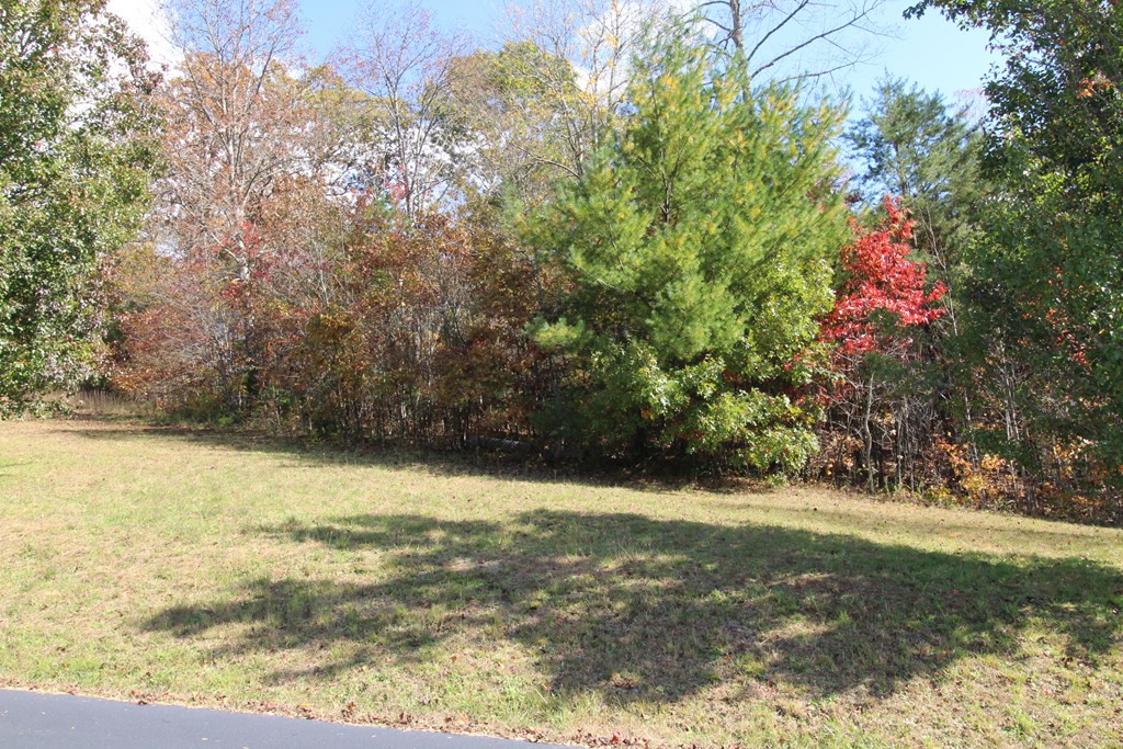 Lot 17 Old Taylors Ferry Ridge Property Photo 3