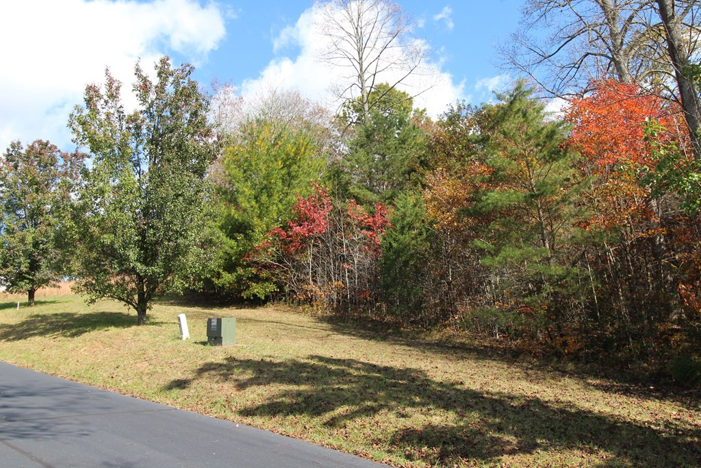 Lot 17 Old Taylors Ferry Ridge Property Photo 4