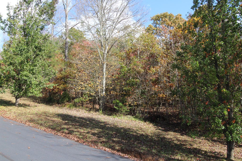 Lot 17 Old Taylors Ferry Ridge Property Photo 5