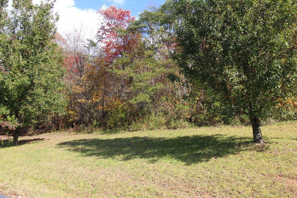 Lot 17 Old Taylors Ferry Ridge Property Photo 6
