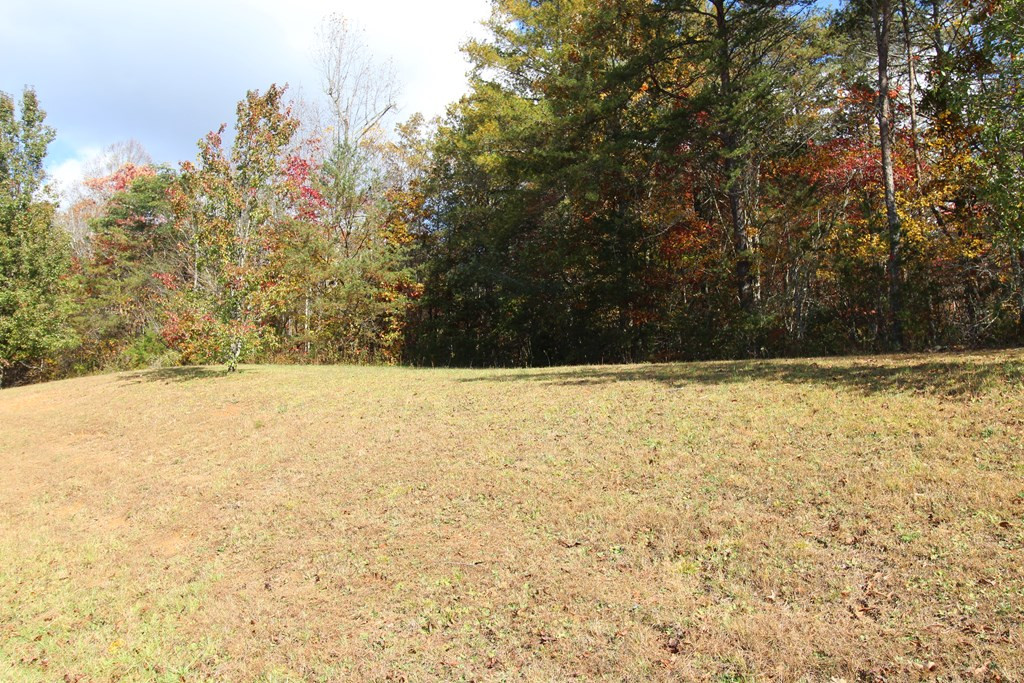 Lot 17 Old Taylors Ferry Ridge Property Photo 7